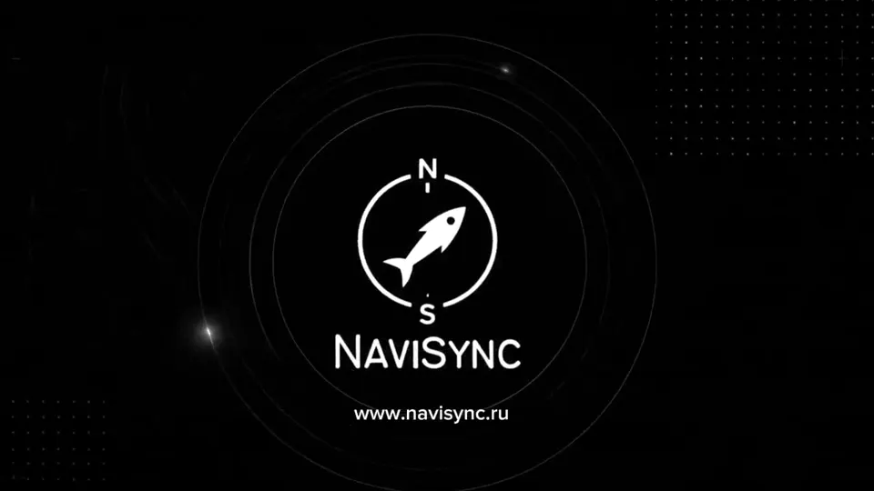 Основные функции NaviSync